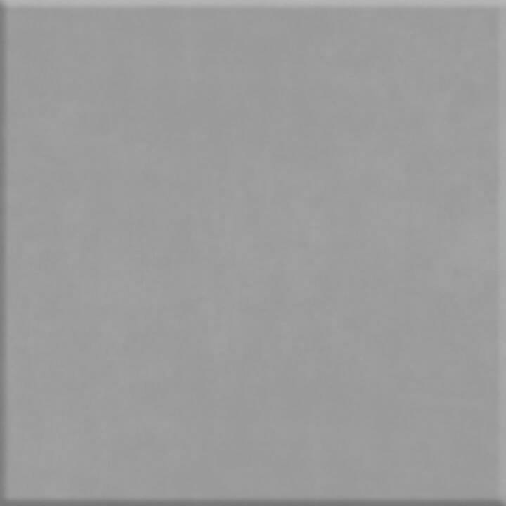 Casablanca Solid Gray 8X8