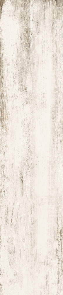 Cavalier Bianco Ca 10 8.50 X 40