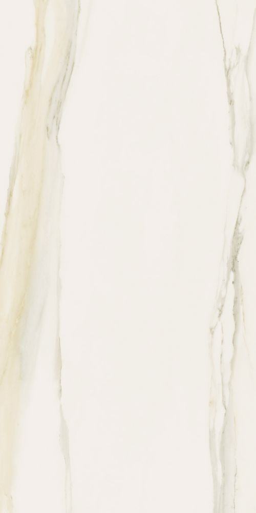 Classici Calacatta Gold Glossy 12 X 24