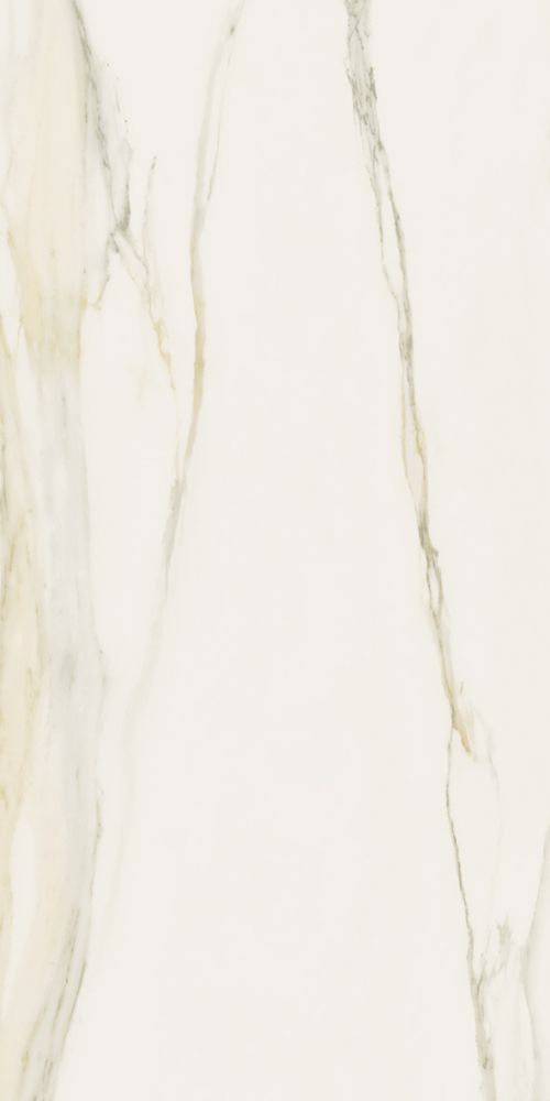 Classici Calacatta Gold Matte 12 X 24
