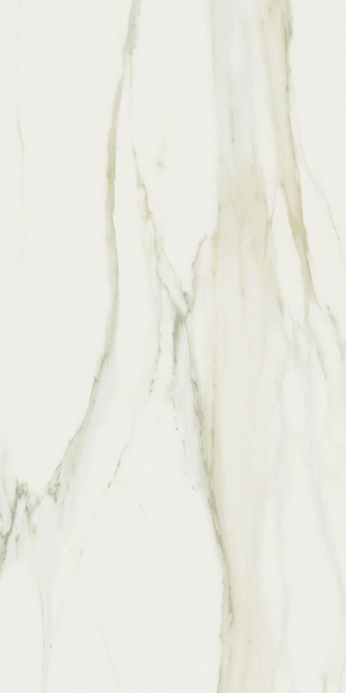 Classici Calacatta Gold Matte 24 X 48