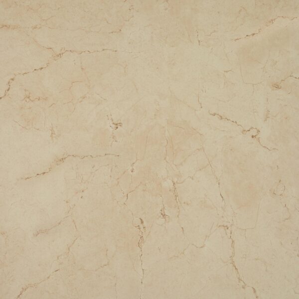 24" x 24" Florentine Marfil Floor Tile Square Matte