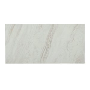 12" x 24" Famed Iconic Floor Tile Rectangle Polished