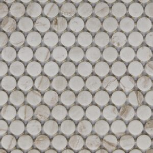 1" x 1" Famed Iconic Mosaic Tile Rectangle Penny Rounds Matte