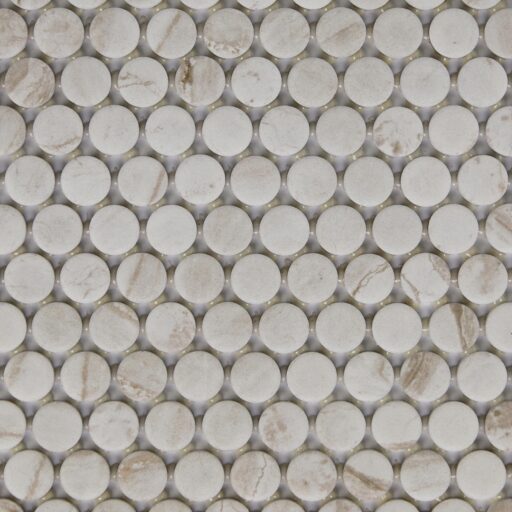 1" x 1" Famed Iconic Mosaic Tile Rectangle Penny Rounds Matte