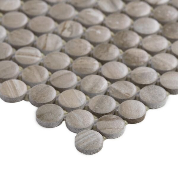 1" x 1" Famed Luxe Mosaic Tile Rectangle Penny Rounds Matte - Image 3
