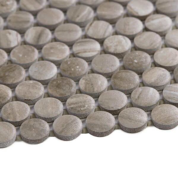 1" x 1" Famed Luxe Mosaic Tile Rectangle Penny Rounds Matte - Image 4