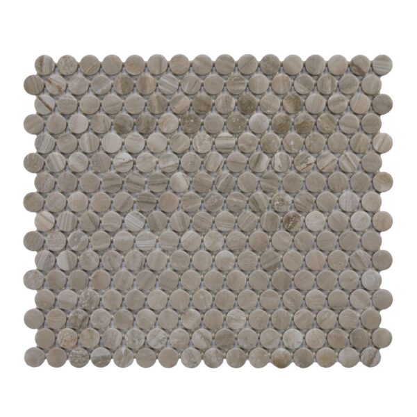 1" x 1" Famed Luxe Mosaic Tile Rectangle Penny Rounds Matte - Image 5