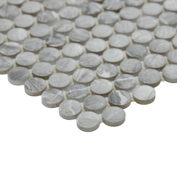 1" x 1" Famed Glamour Mosaic Tile Rectangle Penny Rounds Matte - Image 3