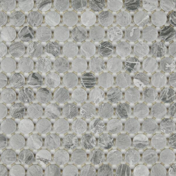 1" x 1" Famed Glamour Mosaic Tile Rectangle Penny Rounds Matte