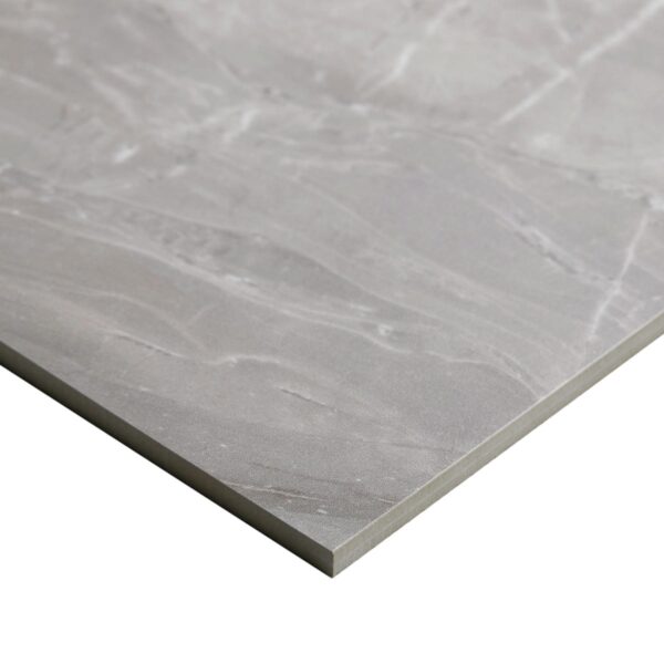 12" x 24" Famed Fortune Floor Tile Rectangle Polished - Image 2