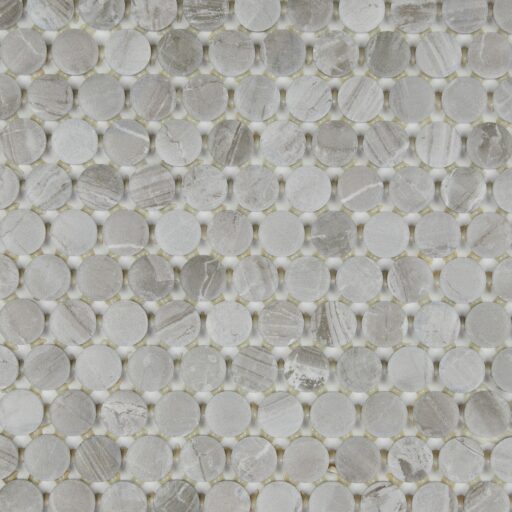 1" x 1" Famed Fortune Mosaic Tile Rectangle Penny Rounds Matte