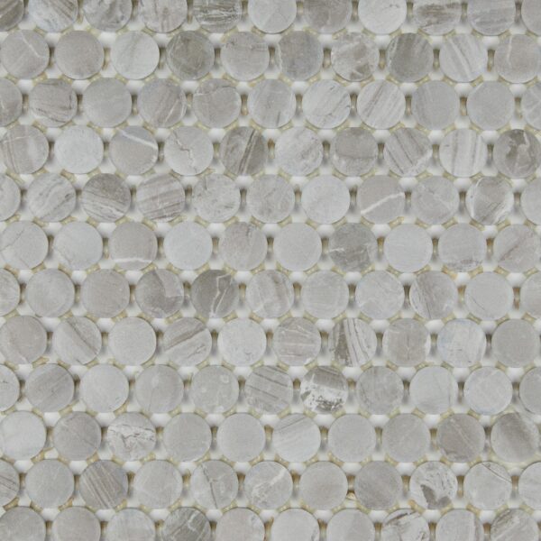 1" x 1" Famed Fortune Mosaic Tile Rectangle Penny Rounds Matte