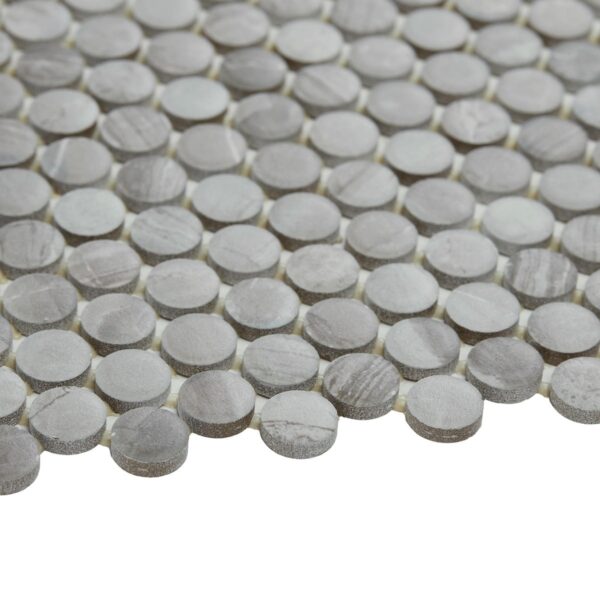 1" x 1" Famed Fortune Mosaic Tile Rectangle Penny Rounds Matte - Image 4