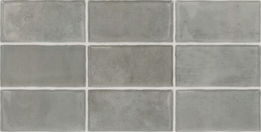 3" x 6" Mesmerist Charm Wall Tile Rectangle Glossy
