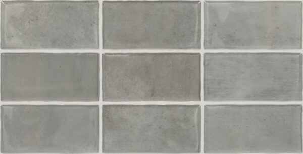3" x 6" Mesmerist Charm Wall Tile Rectangle Glossy