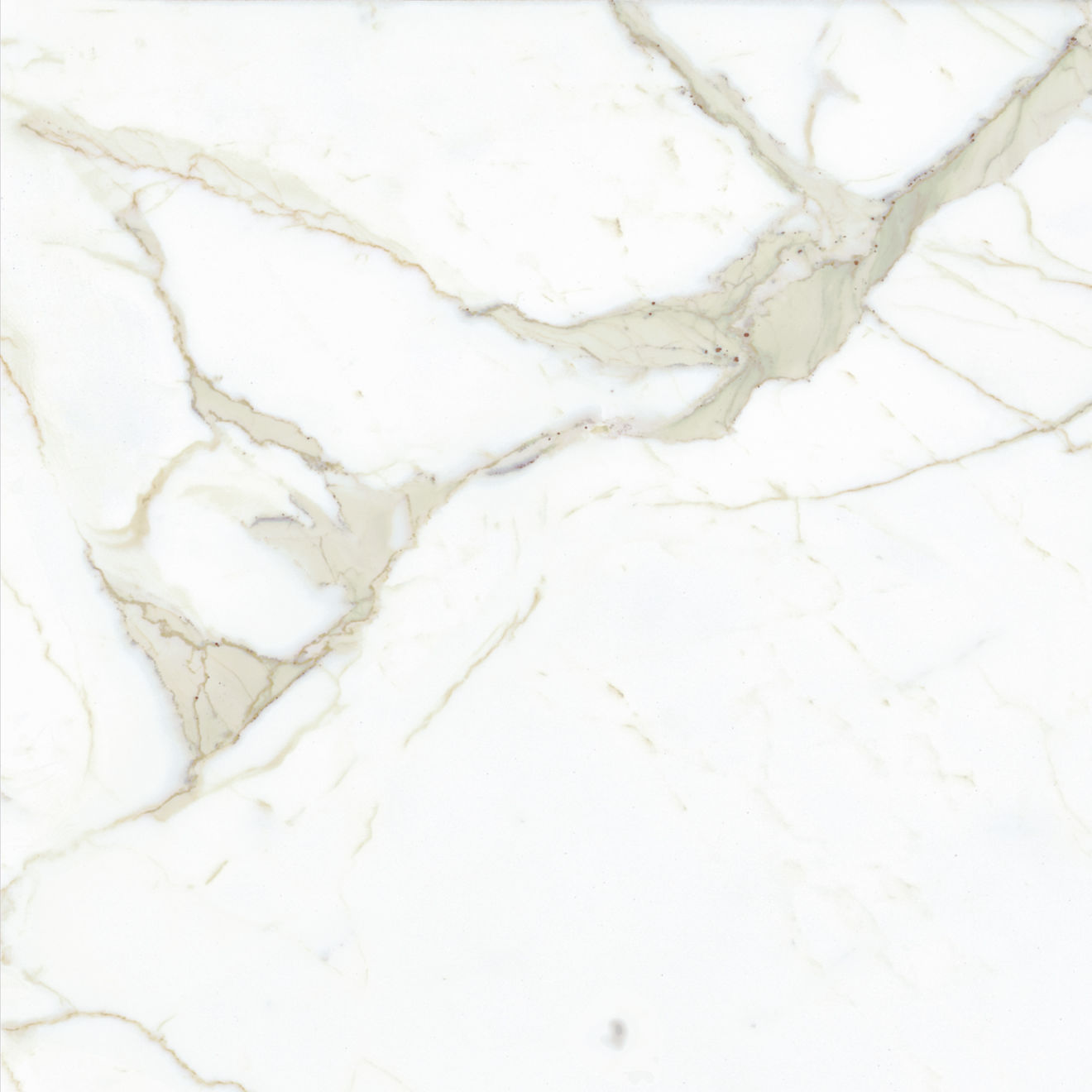 Magnifica The Thirties 30" x 30" - 8mm Honed Porcelain Tile in Calacatta Super White