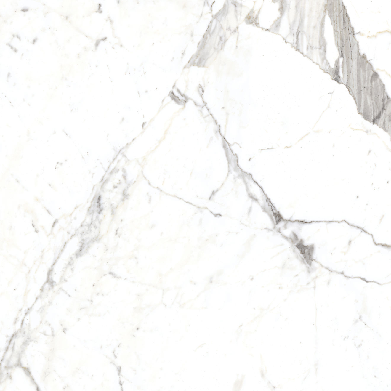 Magnifica The Thirties 30" x 30" - 8mm Honed Porcelain Tile in Statuarietto