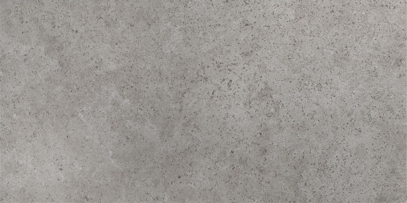 Limestone Gris 12"X24" R