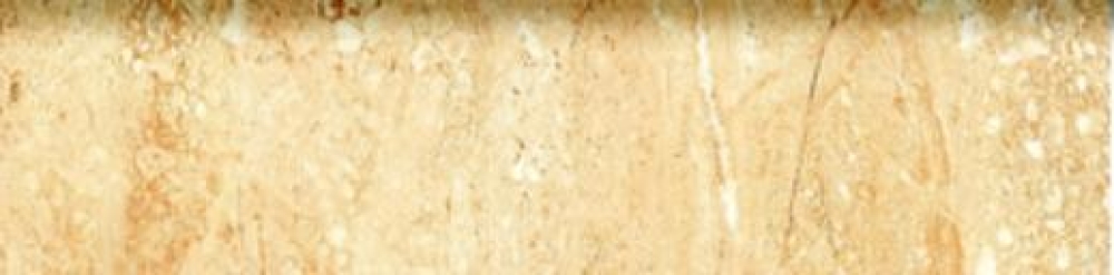 Desert Bullnose 3 X 12