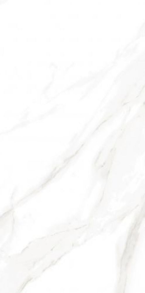 Ec Calacatta Gold Matte 12 X 24