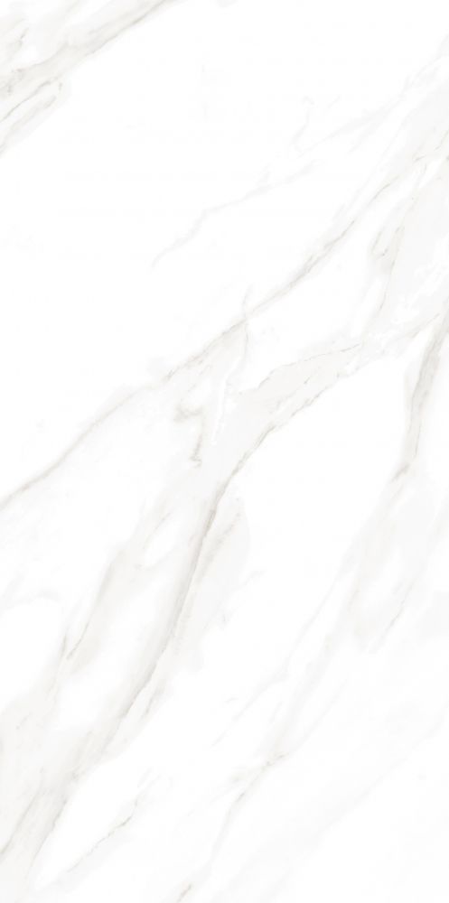 Ec Calacatta Gold Matte 24 X 48