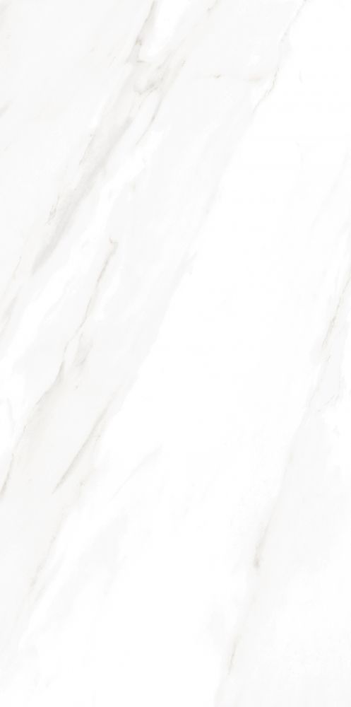 Ec Calacatta Gold Matte 30 X 60