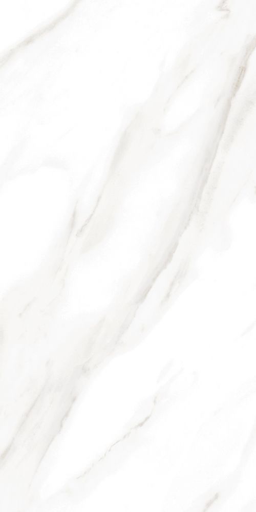 Ec Calacatta Gold Polished 12 X 24