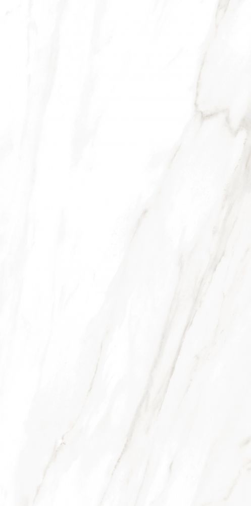 Ec Calacatta Gold Polished 24 X 48