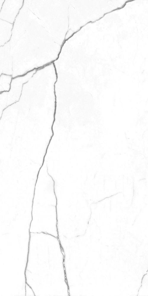 Ec Elegance White Matte 12 X 24
