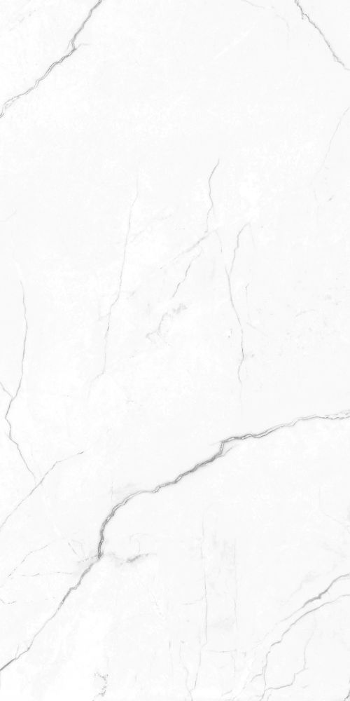 Ec Elegance White Matte 24 X 48