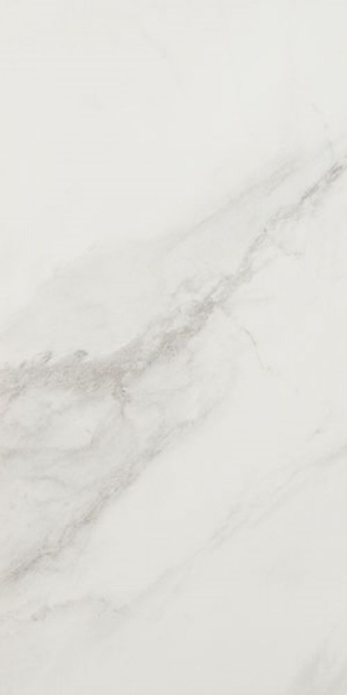 Ec Snow Polished 12 X 24