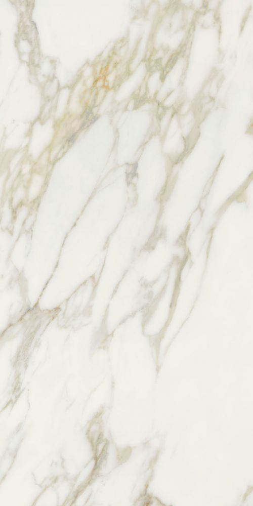Etoile Creme Matte 24 X 48