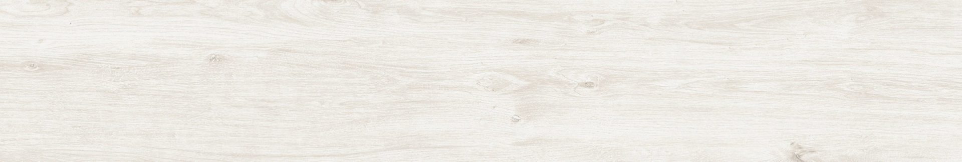 Everglade Silver Gray 8X48 R