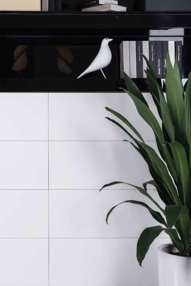 Extra White Matte 24 X 48