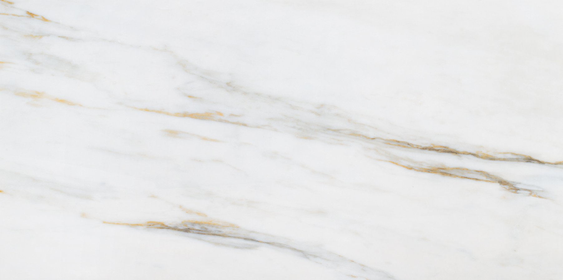 Lm Calacata Gold 24X48 R Po