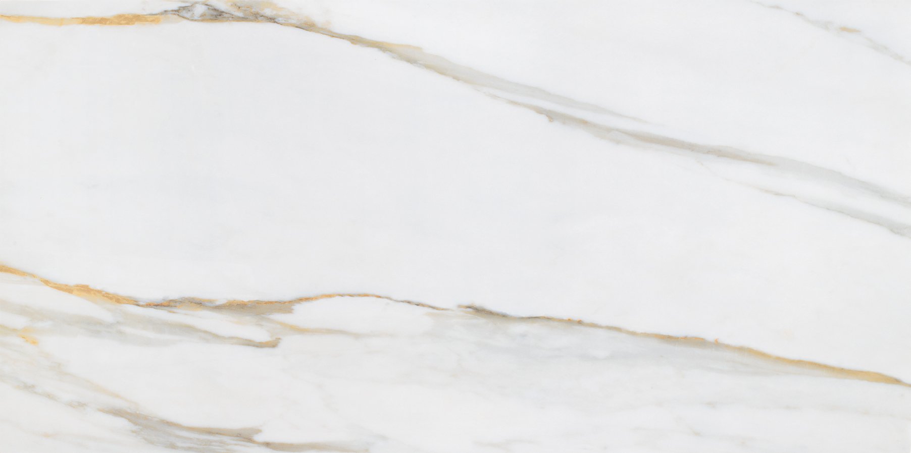 Lm Calacata Gold 24X48 R Up