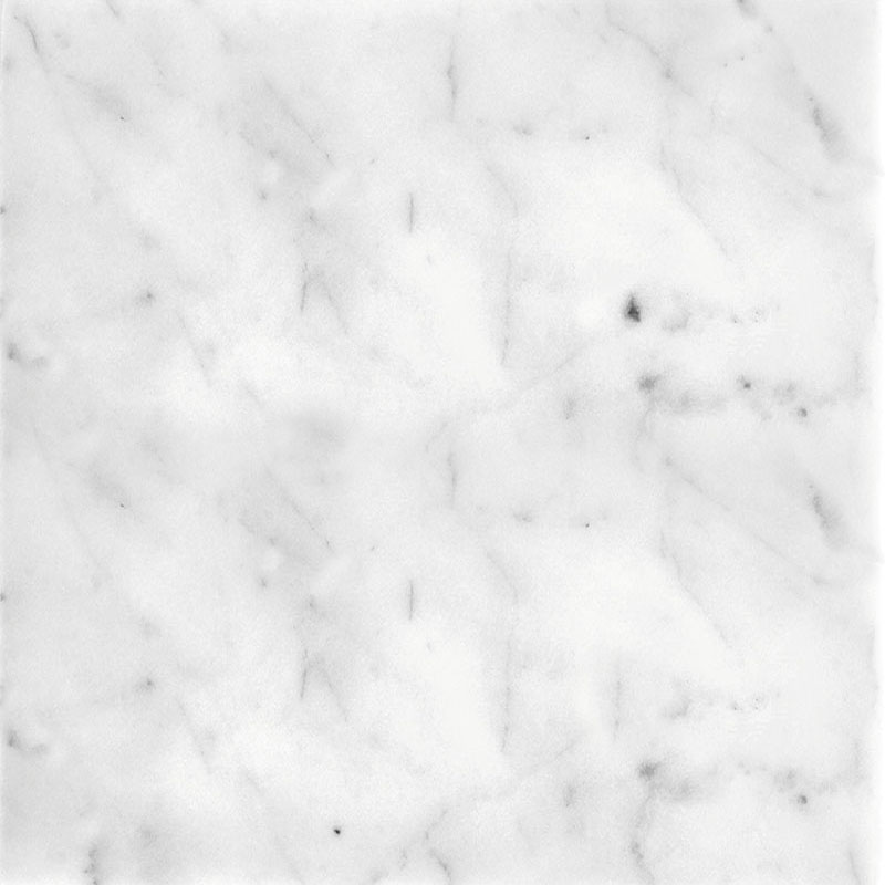 Carrara P 12 X 12