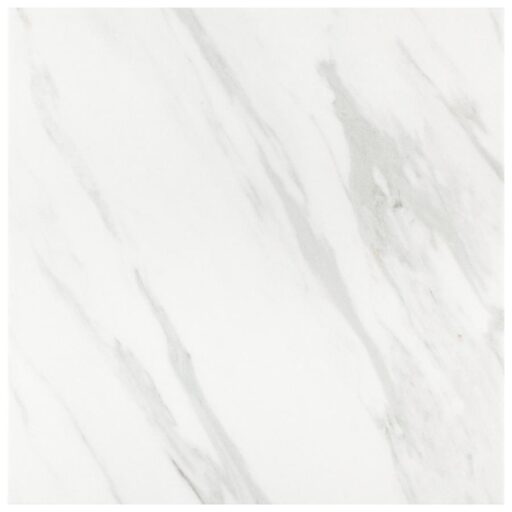 Eterno Carrara 9-3/4"x9-3/4" Porcelain F/W Tile