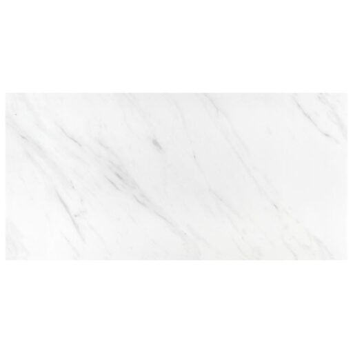 Eterno Carrara 12-7/8"x25-5/8" Porcelain F/W Tile