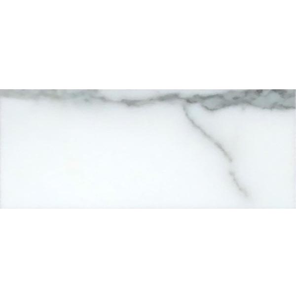 Calacatta Honed 12 X 24