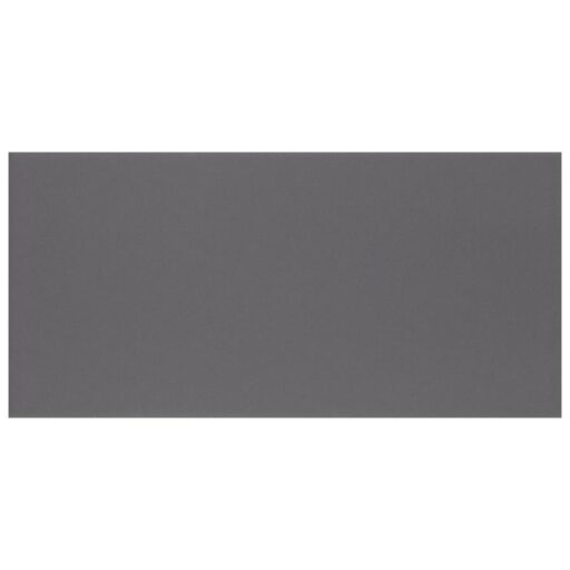 BioTech Piscina Brick Dark Grey Matte 4-3/4"x9-5/8" PorF/W