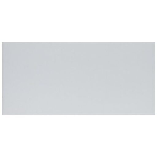 BioTech Piscina Brick Blanco Matte 4-3/4"x9-5/8" PorF/W
