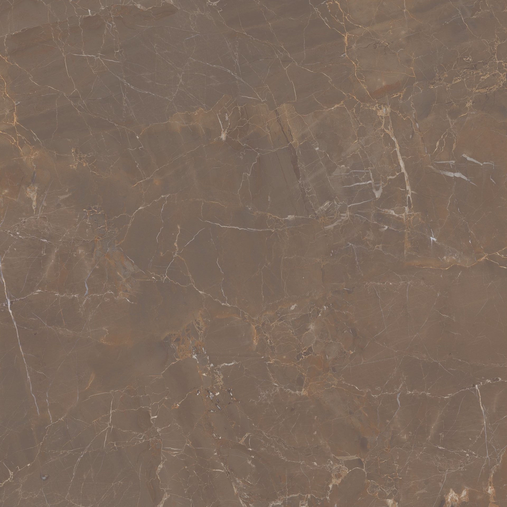 Lm Marble Sorrento 48X48 R Po