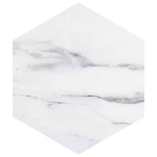 BioTech Venato Hex 11"x13" Porcelain F/W Tile