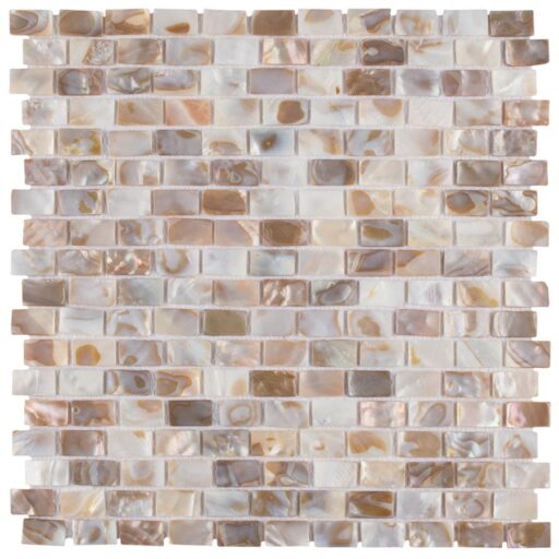 Conchella Subway Natural 12-1/4"x12-1/2" Nat Seashell Mos