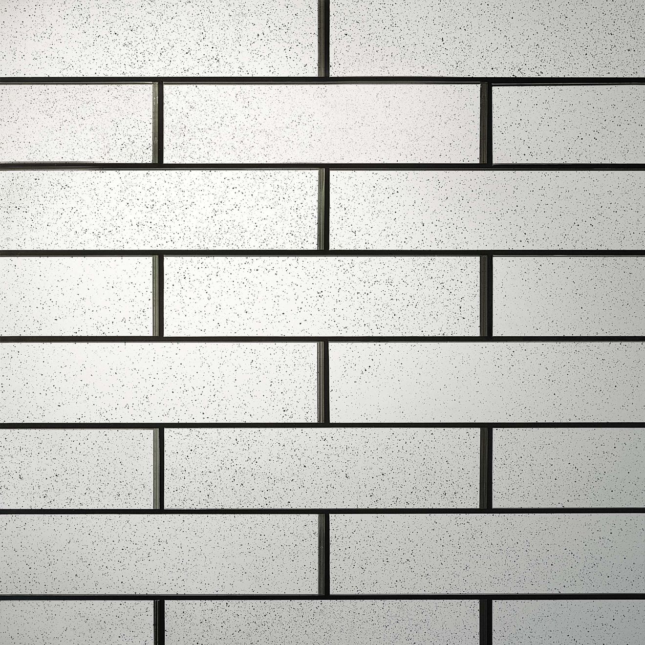 Imperial 2.5" x 10" Wall Tile in Princess