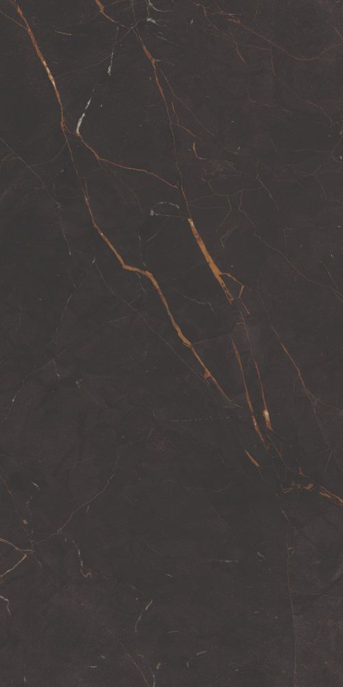 Galaxia Black Levigato 12 X 24