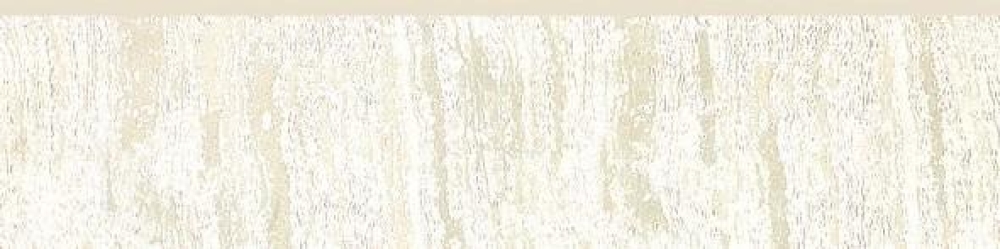 Galaxy White Bullnose 3 X 12