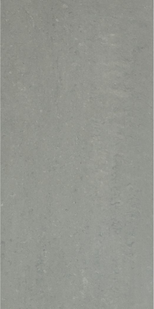 Grey Light Polished 12 X 24